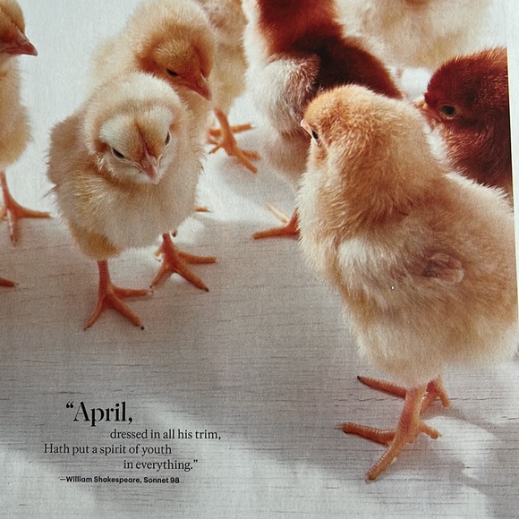 CHAT POST My style from poshmark - Picture 12 of 16